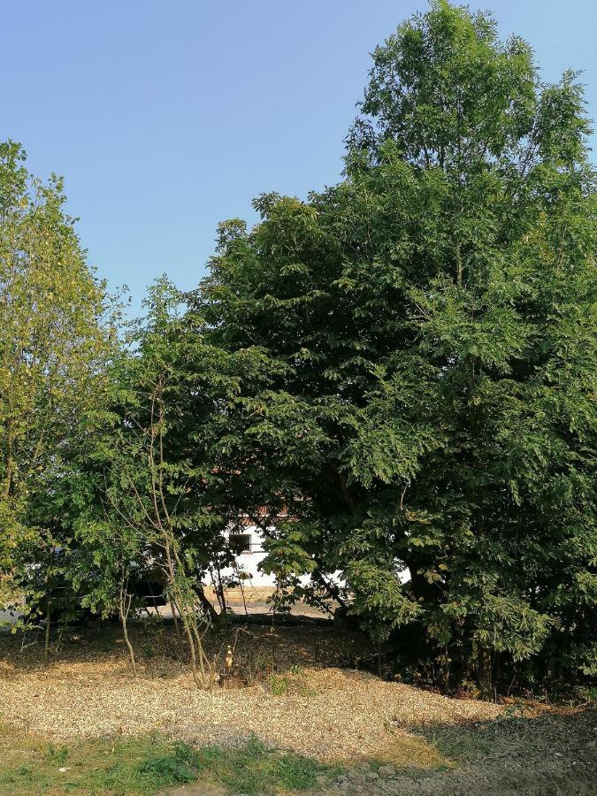 Camping Weides Küps Extérieur photo